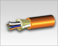 Fiber Cable